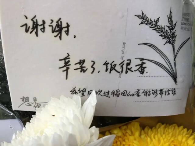 学校师生深切缅怀杰出校友袁隆平院士