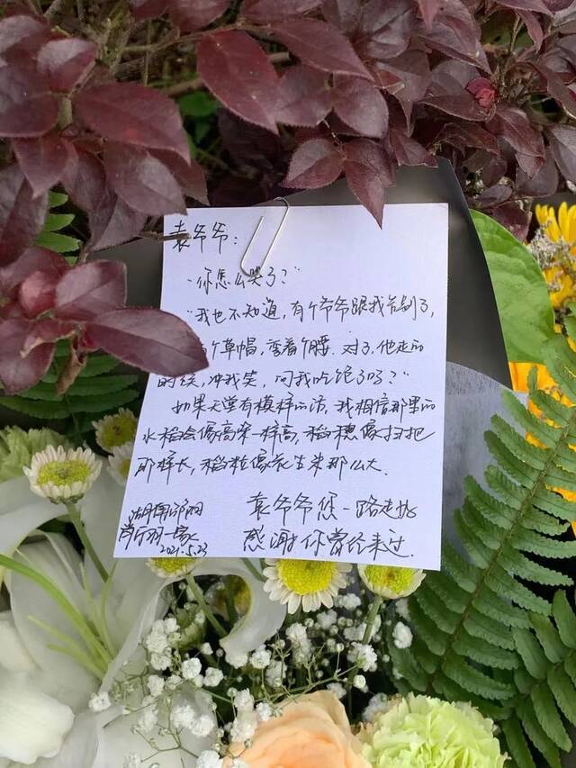 今天，送别袁爷爷！花海里的心里话看哭所有人……