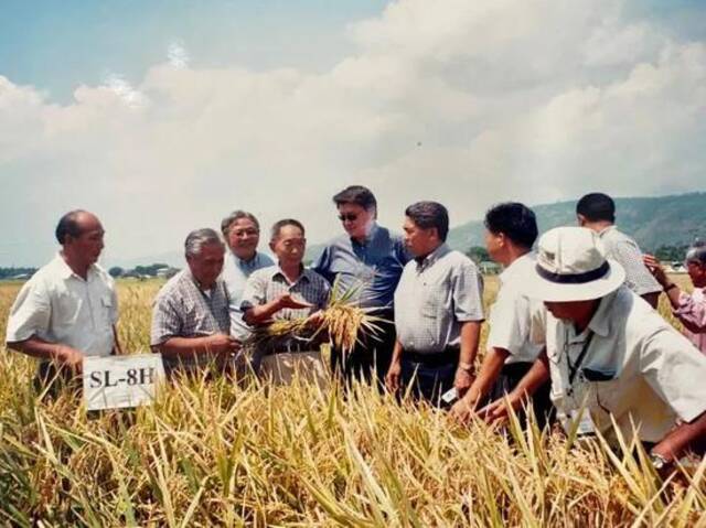 他帮助养活了全球人民！袁隆平逝世，全世界在一起缅怀