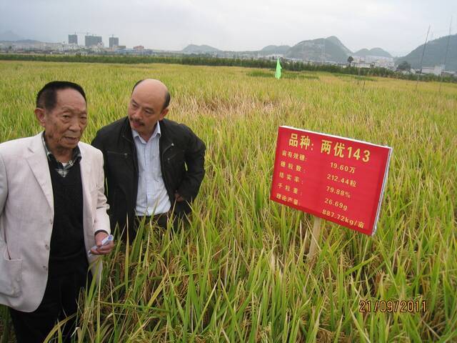 袁隆平和彭既明在田间。受访者提供