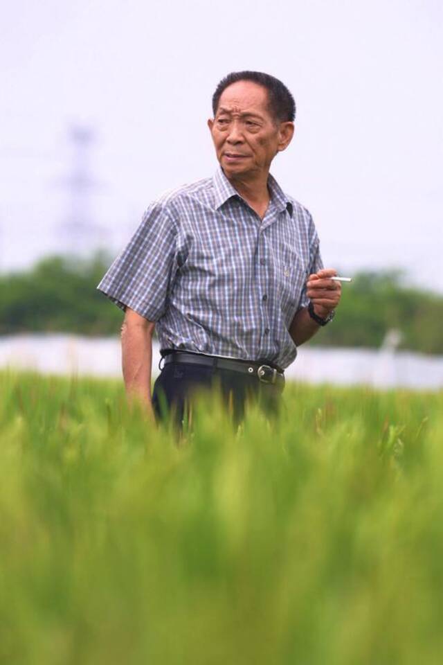 2004年4月12日，袁隆平在三亚研究水稻。人民视觉资料图