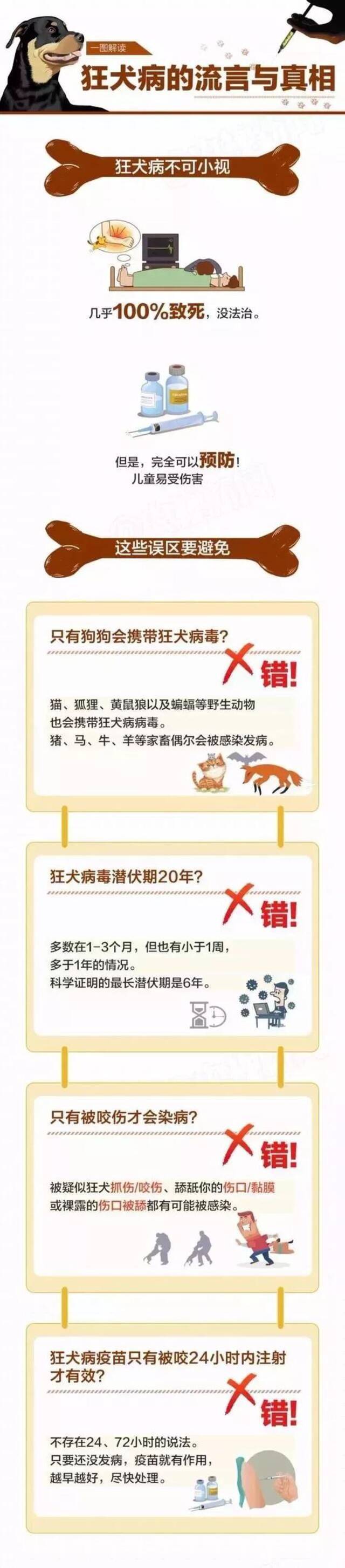 郑州市区多人被狗咬伤，包括2名小孩，伤人狗目前仍在搜捕中