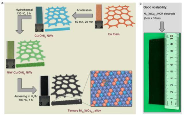 (a) Ni5.2WCu2.2合金的合成方法示意图。(b)宏量制备得到3×10cm2的Ni5.2WCu2.2电极。