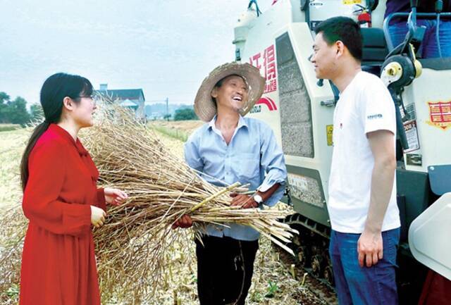 湖北省枝江市纪委监委紧盯夏粮丰产丰收时节，下沉监督，查摆问题线索，督促相关部门履职尽责。图为5月13日，该县纪检监察干部在董市镇双湖村油菜田向农户了解今年夏粮生产情况。任薇摄