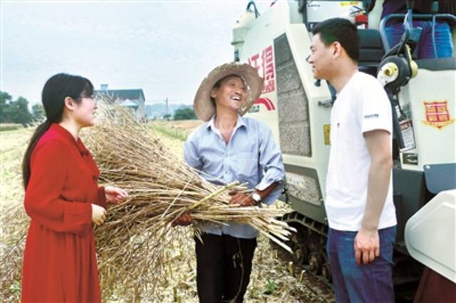 湖北省枝江市纪委监委紧盯夏粮丰产丰收时节，下沉监督，查摆问题线索，督促相关部门履职尽责。图为5月13日，该县纪检监察干部在董市镇双湖村油菜田向农户了解今年夏粮生产情况。任薇摄