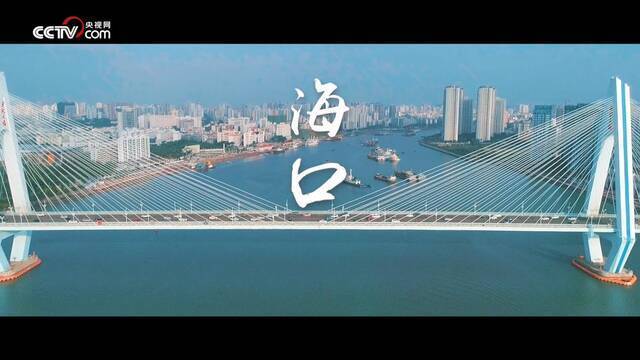 世界海洋日：中国人与海的故事