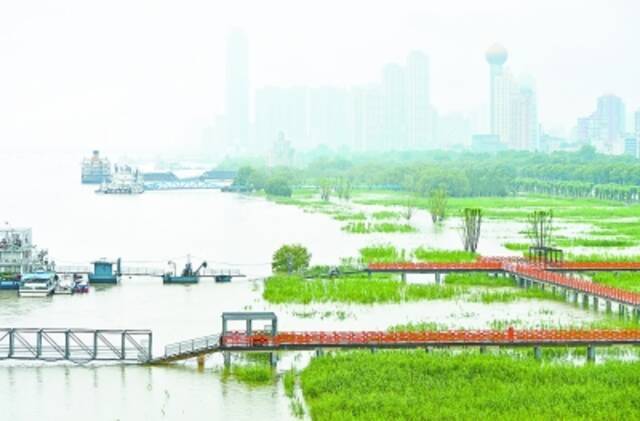 全市“一盘棋”严阵以待迎降雨