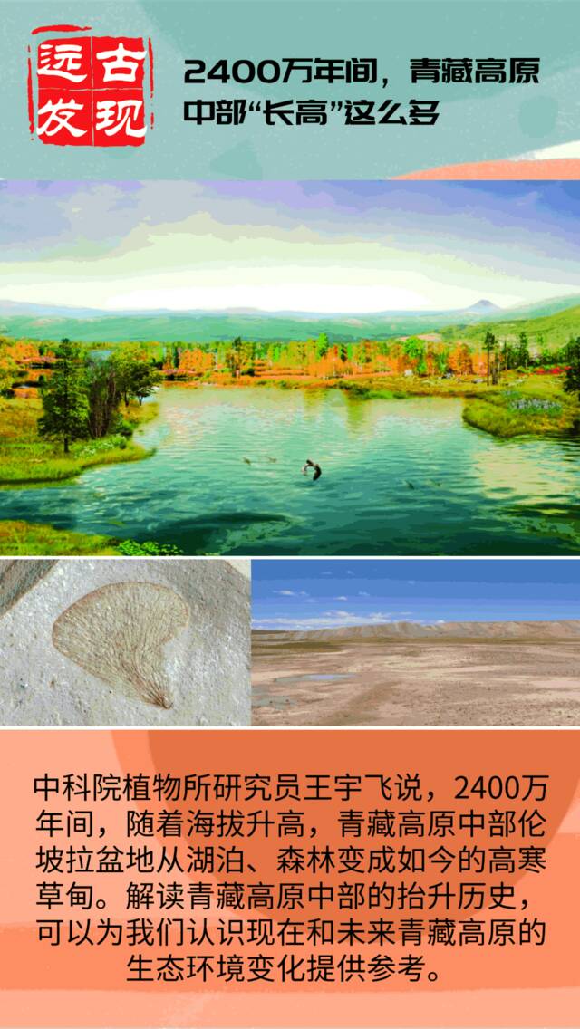 借助一株2400万年前的“小草”化石科学家重建青藏高原中部2400万年前的高程与景观