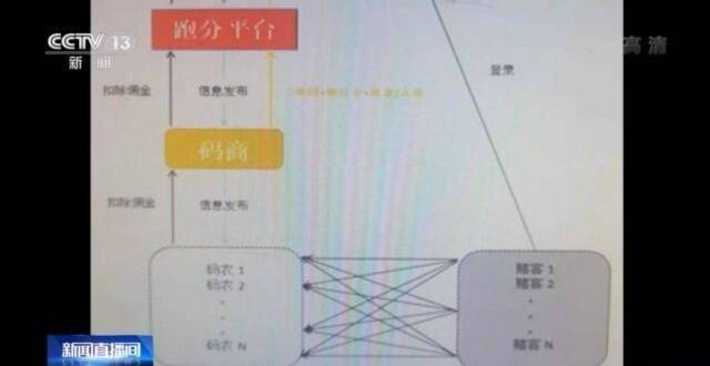 兼职码农报案 警方破获案值超20亿元“跑分”洗钱案