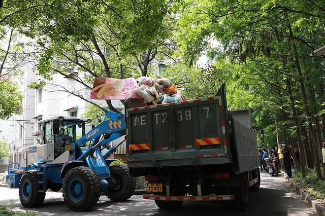 董阿姨家共清理出了15大卡车的废品垃圾。