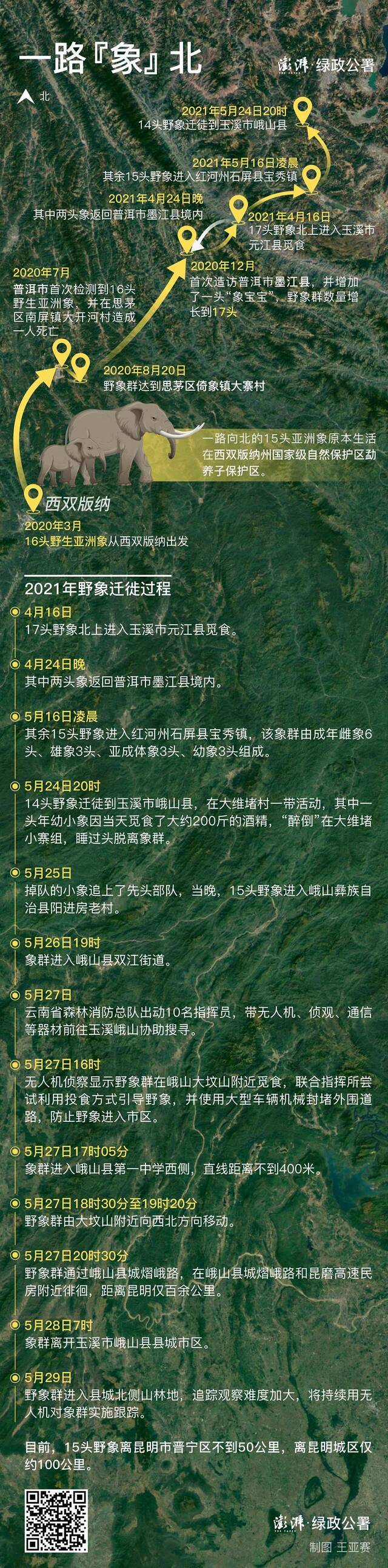 15头野象北徙八百里背后:栖息地缩减严重 如何劝返？