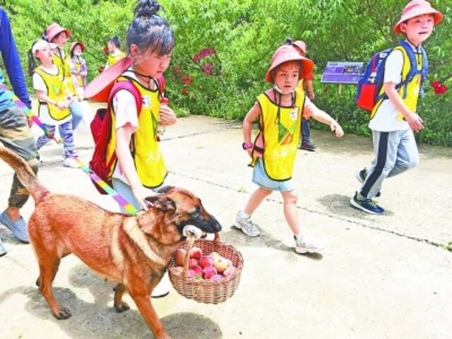 武汉多景区开启“儿童欢乐季”