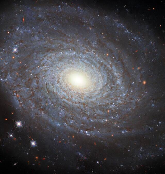 哈勃太空望远镜捕捉到NGC 691同名螺旋星系的详细画面