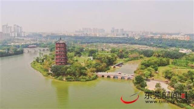 ■华阳湖国家湿地公园已成为麻涌一张亮丽名片