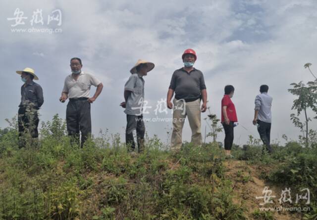 村民焦急地站在自家田头。