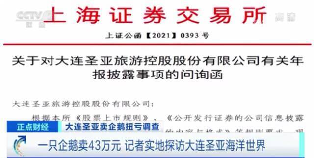 靠52只企鹅收入2200万？这家上市公司遭监管问询