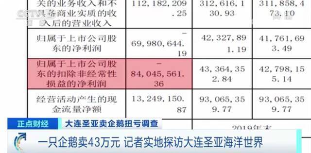 靠52只企鹅收入2200万？这家上市公司遭监管问询