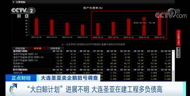 靠52只企鹅收入2200万？这家上市公司遭监管问询