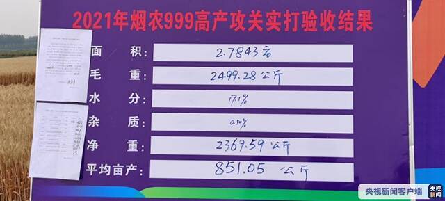 851.05公斤！安徽小麦亩产再破纪录