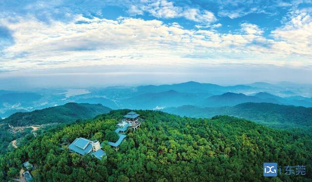 ■《绿色家园大岭山》庞梅杰