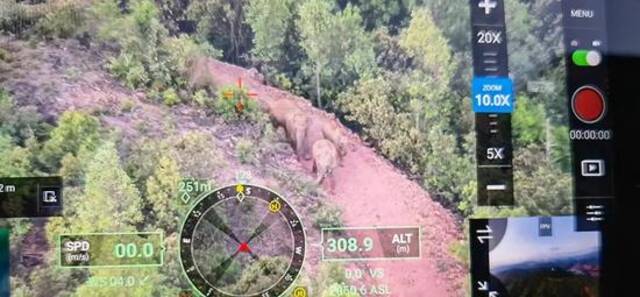 无人机监测团队在老江河村旁边的象鼻山发现象群