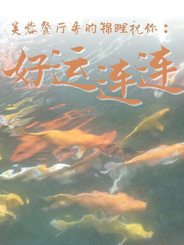 @高考生，厦大“加油团”为你撑腰！