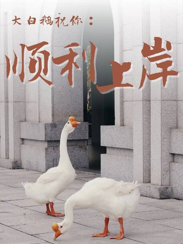 @高考生，厦大“加油团”为你撑腰！