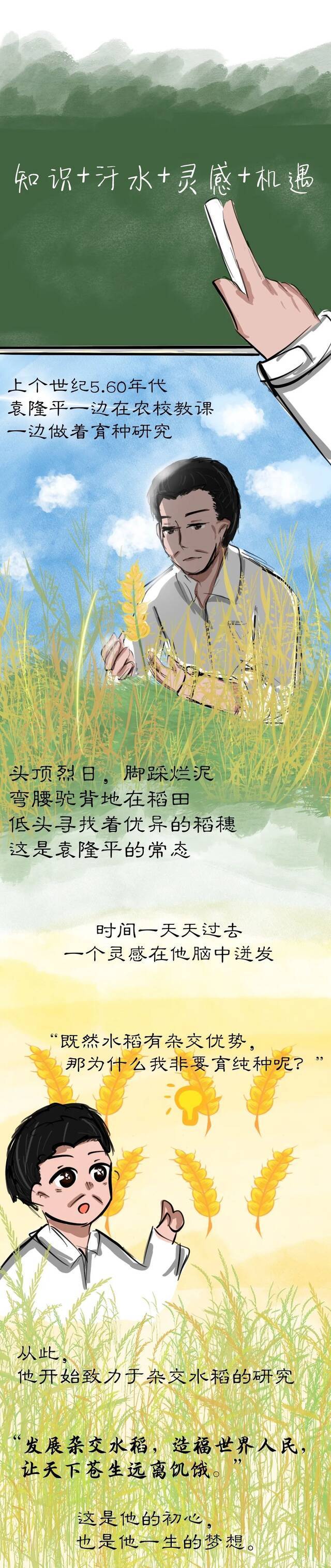 芒种  适时而作，愿每一个认真耕耘的梦想都不被辜负