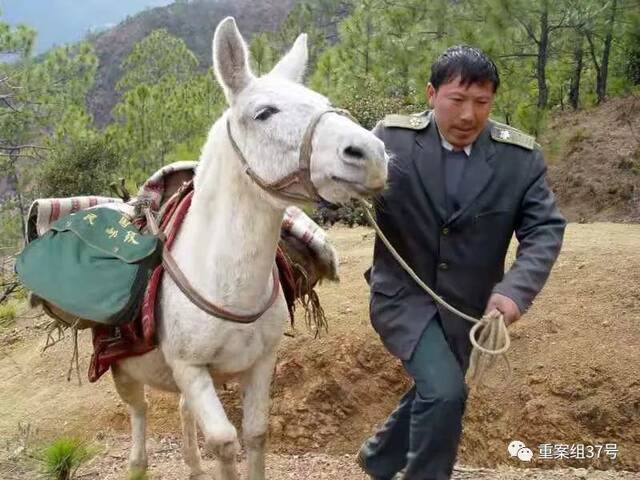 ▲乡邮员王顺友在邮路上。图源：四川邮政