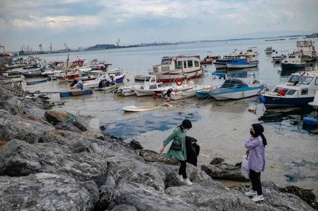 “海鼻涕”肆虐 惊动总统！