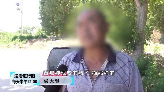 快递员组团深夜偷西瓜被北京警方抓获，曾一晚偷走四千斤瓜