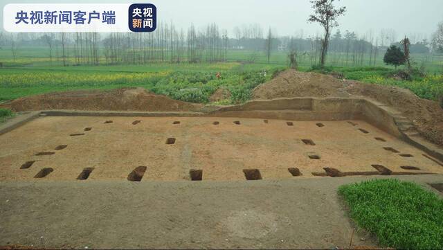 四川：成都平原发现疑似4500年前的水稻田