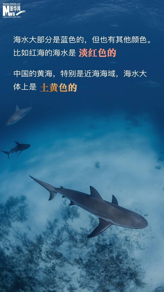 世界海洋日丨神秘的71%