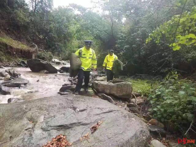 12人上山找牦牛突遇暴雨被困原始森林，近百人出动紧急救援 官方通报：全部获救