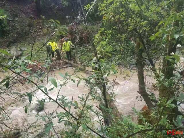 12人上山找牦牛突遇暴雨被困原始森林，近百人出动紧急救援 官方通报：全部获救