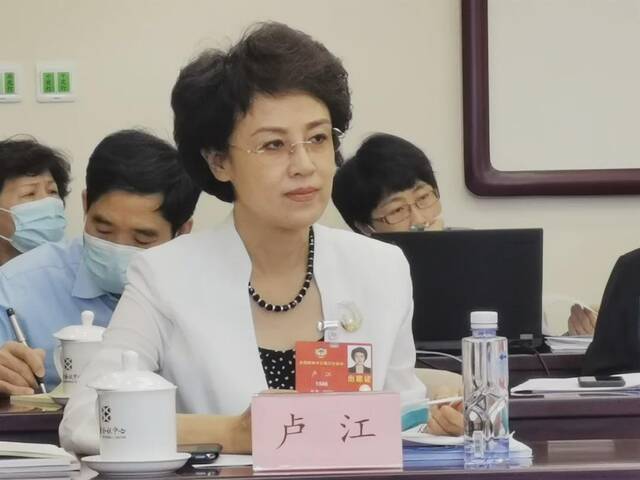 新设国家局，再增一位女领导​