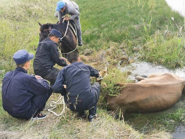 夏特边境派出所帮牧民救助受困牛获赠锦旗