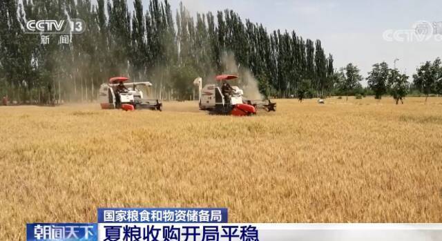 国家粮食和物资储备局：夏粮收购开局平稳 各地对收购价格预期较为乐观