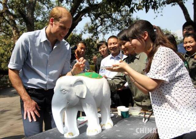 当大象从寺庙壁画漫步到我们身边：人与野生动物共生的挑战