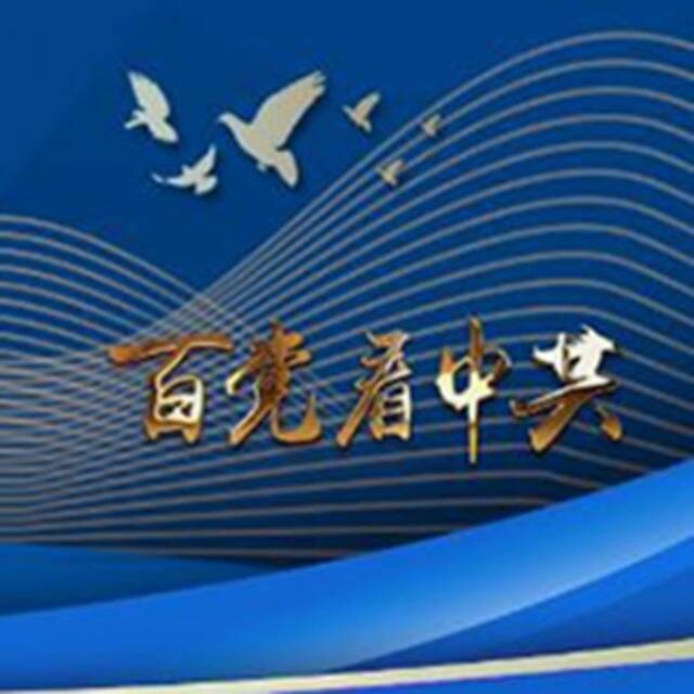 百国百党看百年大党  专访：“中国共产党历经百年奋斗，成就斐然”——访泰国为泰党外事工作委员会主席纳丽妮·塔威信