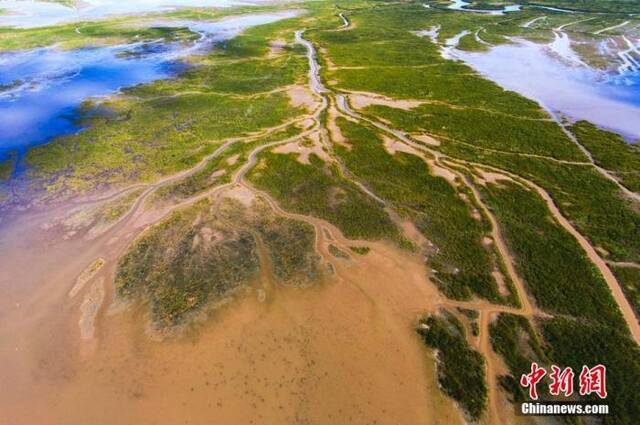 资料图：图为航拍盐城黄海滩涂湿地。孙华金摄