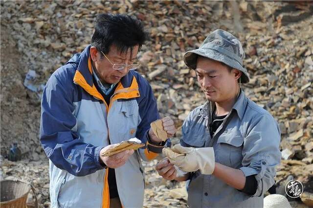 在古生物化石宝库中探寻生命演化的奥秘 ——云南大学古生物学学科建设结硕果