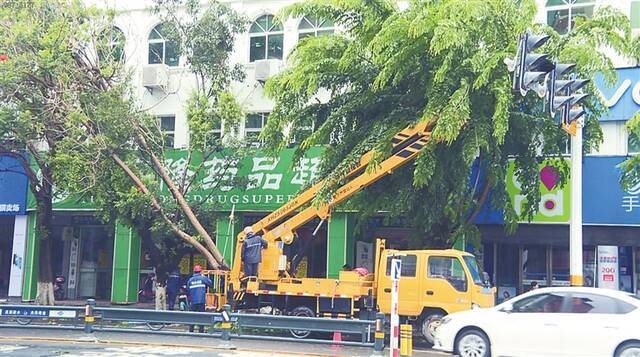 热带低压 登陆陵水