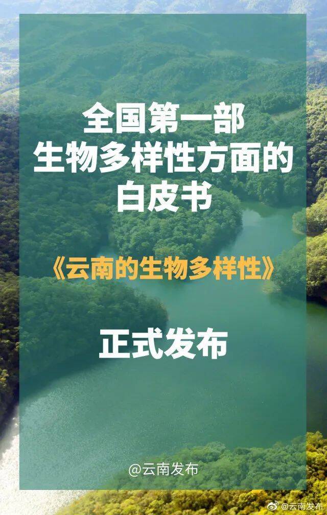 “象”往的朋友