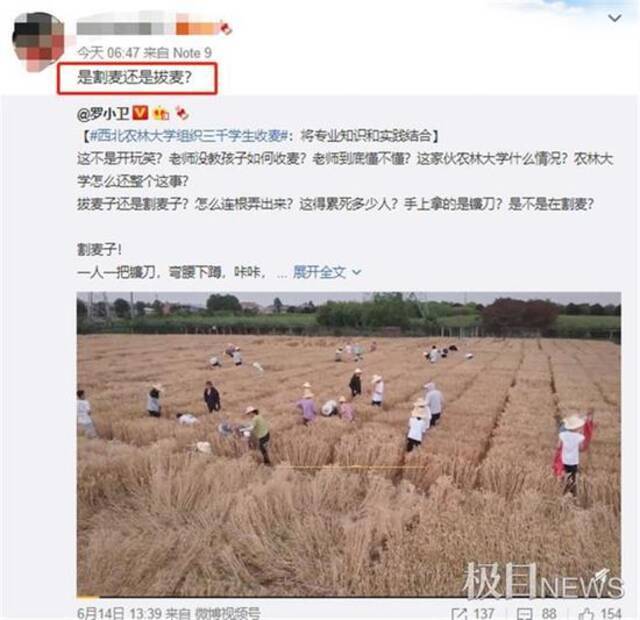 农学专业学生收小麦“连根拔起”遭质疑，西北农林科技大学回应