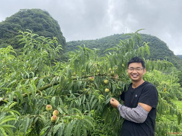 潘兴运的产业园种植出来的鹰嘴桃