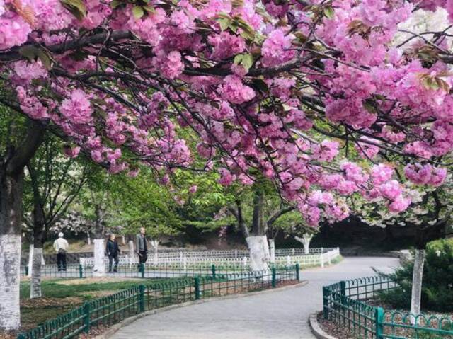 千万别白跑一趟！近期北京部分景区场馆临时关闭，请游客周知