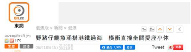 香港“东网”报道截图