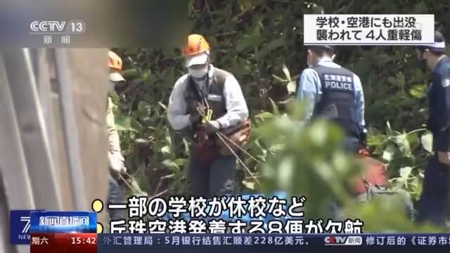 日本札幌：野熊出没导致四人受伤 目前已射杀