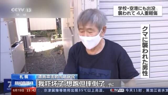 日本札幌：野熊出没导致四人受伤 目前已射杀